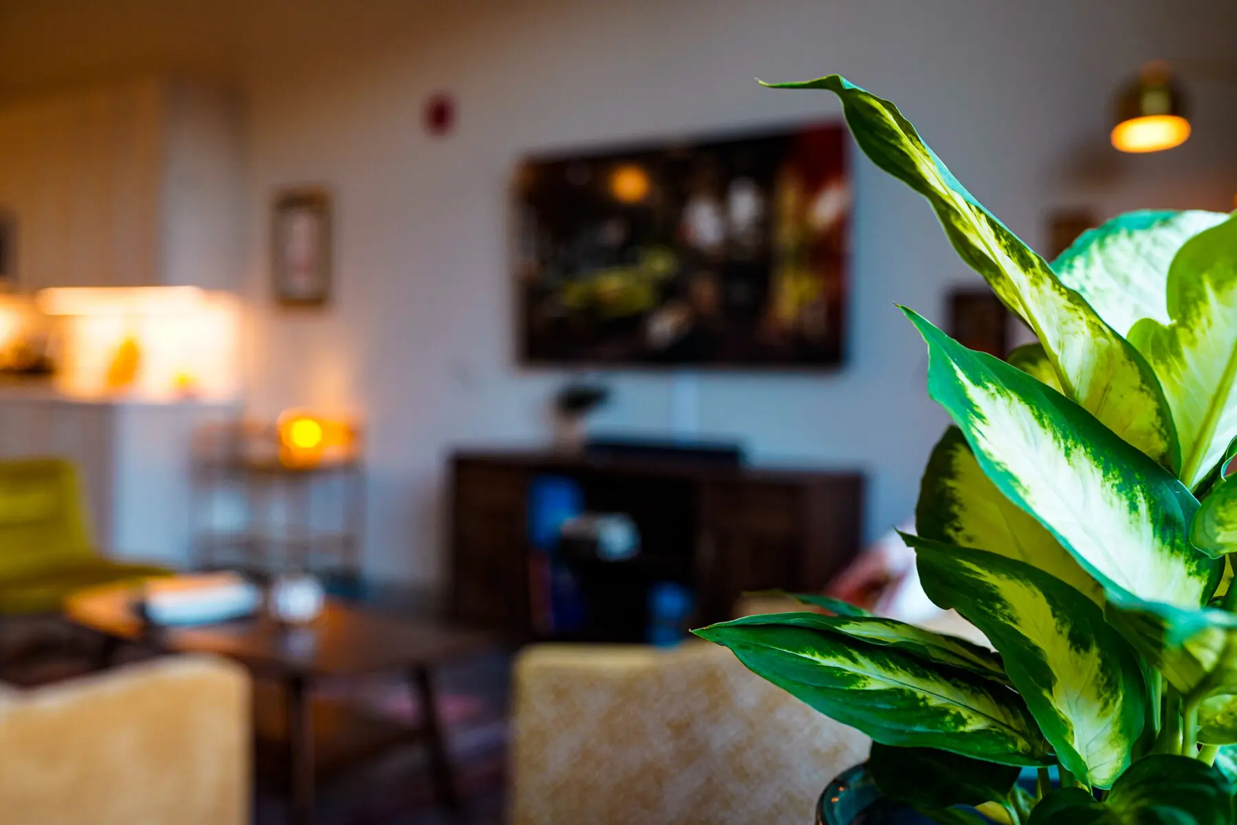 a8916cc9 f852 404e b27d c700c0182870.jpg