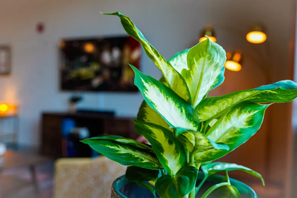 a8ff02df 7441 4c49 a26f b1aabb25e8a3.jpg