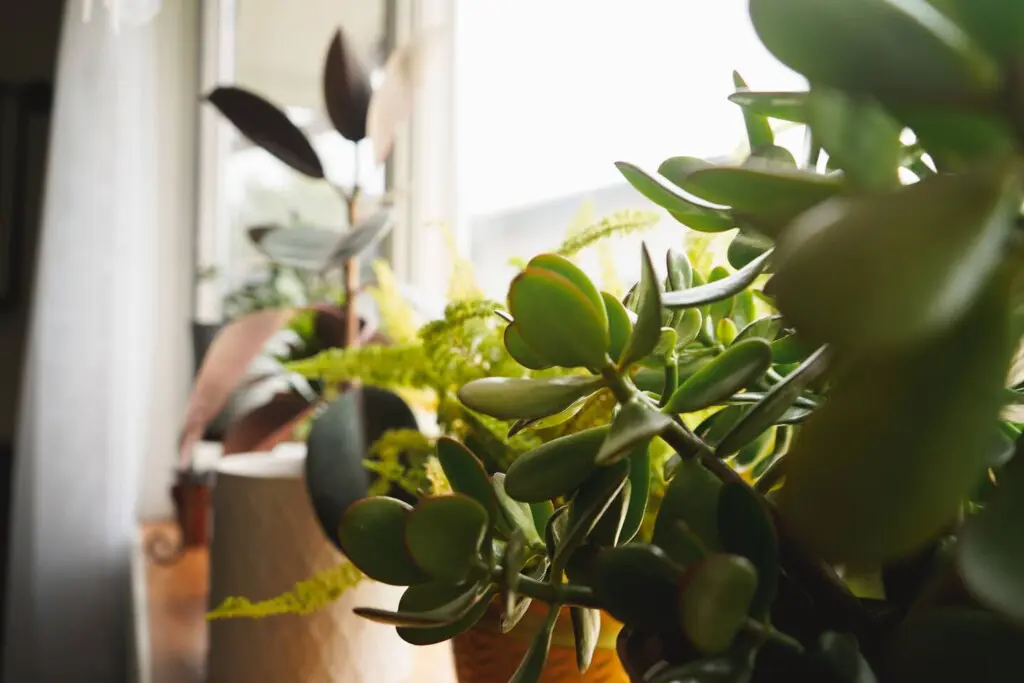 b91c1ab8 8786 407e bb2f d7f2adfaf4c1.jpg