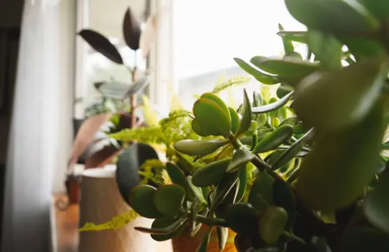 b91c1ab8 8786 407e bb2f d7f2adfaf4c1.jpg