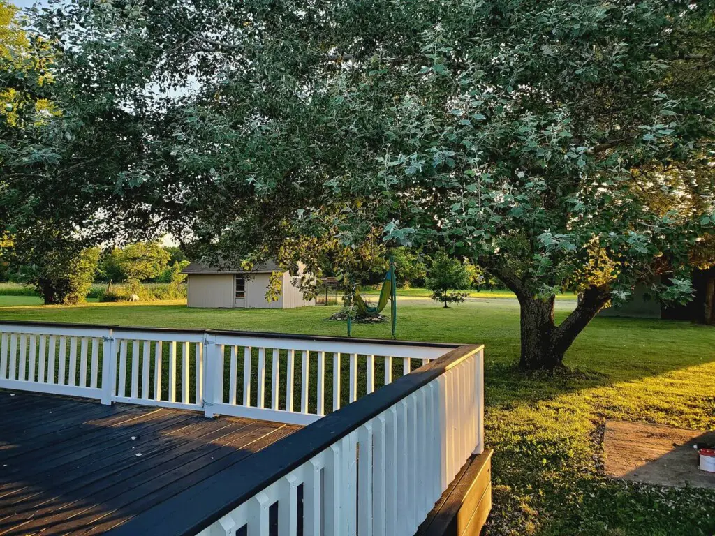 d2bf4d4c f52e 44c3 bc6f 62b4b236a606.jpg