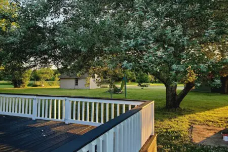 d2bf4d4c f52e 44c3 bc6f 62b4b236a606.jpg