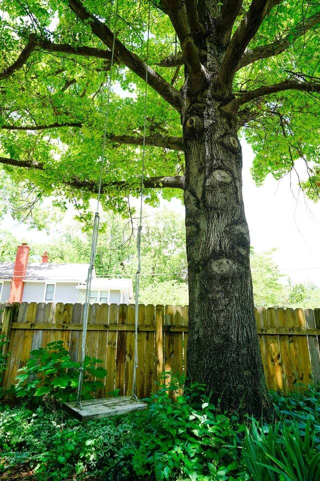 1aa62baf 5251 41b5 a28e 0d37b5c86e2a.jpg